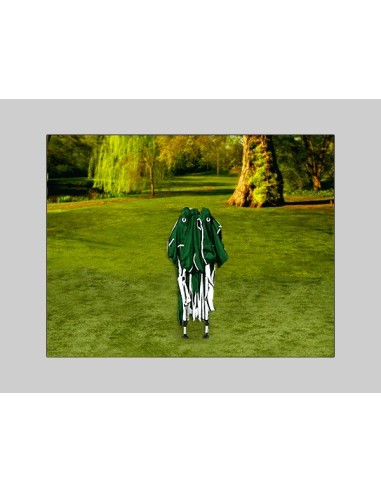 Gazebo pieghevole 3x3mt Hobby mercatini colore VERDE - 3